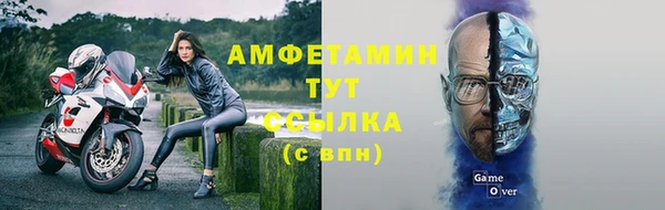 гидра Алексин