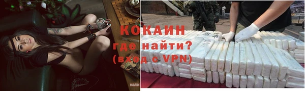 гидра Алексин