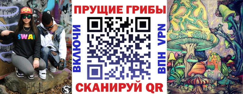 Псилоцибиновые грибы GOLDEN TEACHER  Карачаевск 